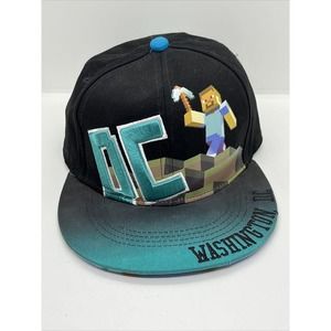Minecraft Hat Cap Washington DC City Hunter Snapback Video Game Black Teal